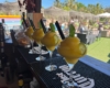 Copas de mango en el chiringuito El Cubano, El Botánico de Ramón y Marisol