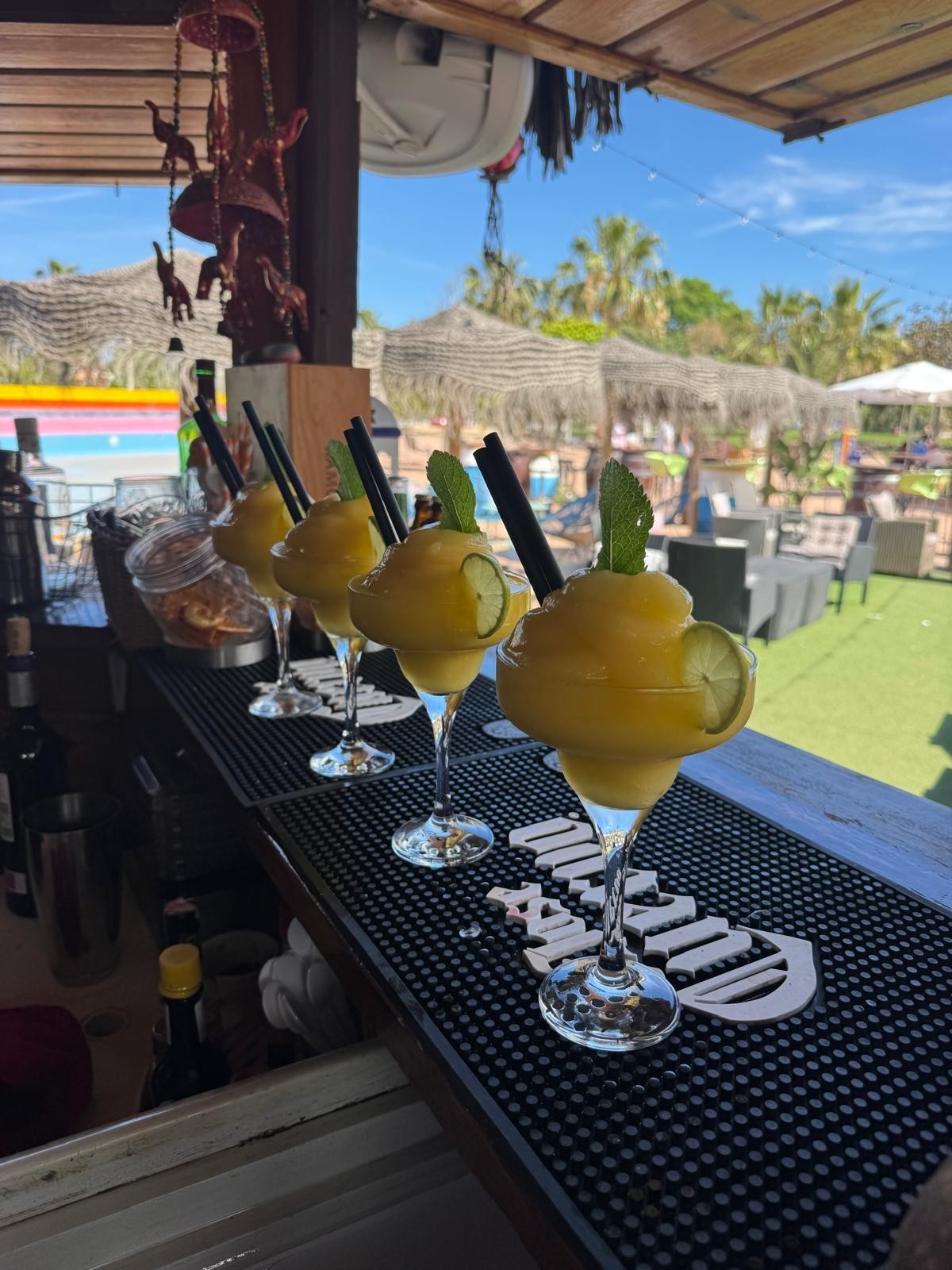 Copas de mango en el chiringuito El Cubano, El Botánico de Ramón y Marisol